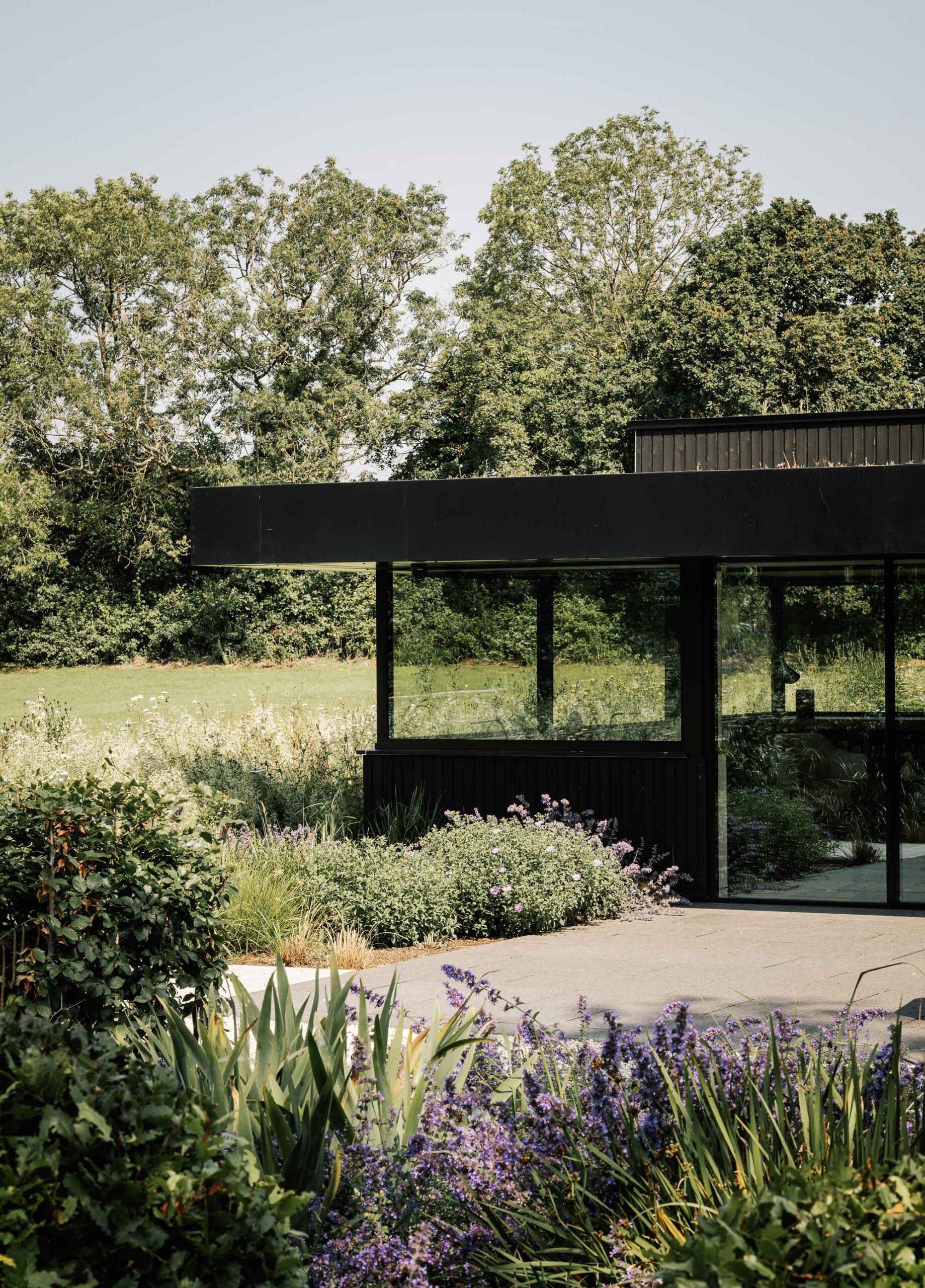 Tanglewood-by-Pete-Helme-Photography-ph225-copy